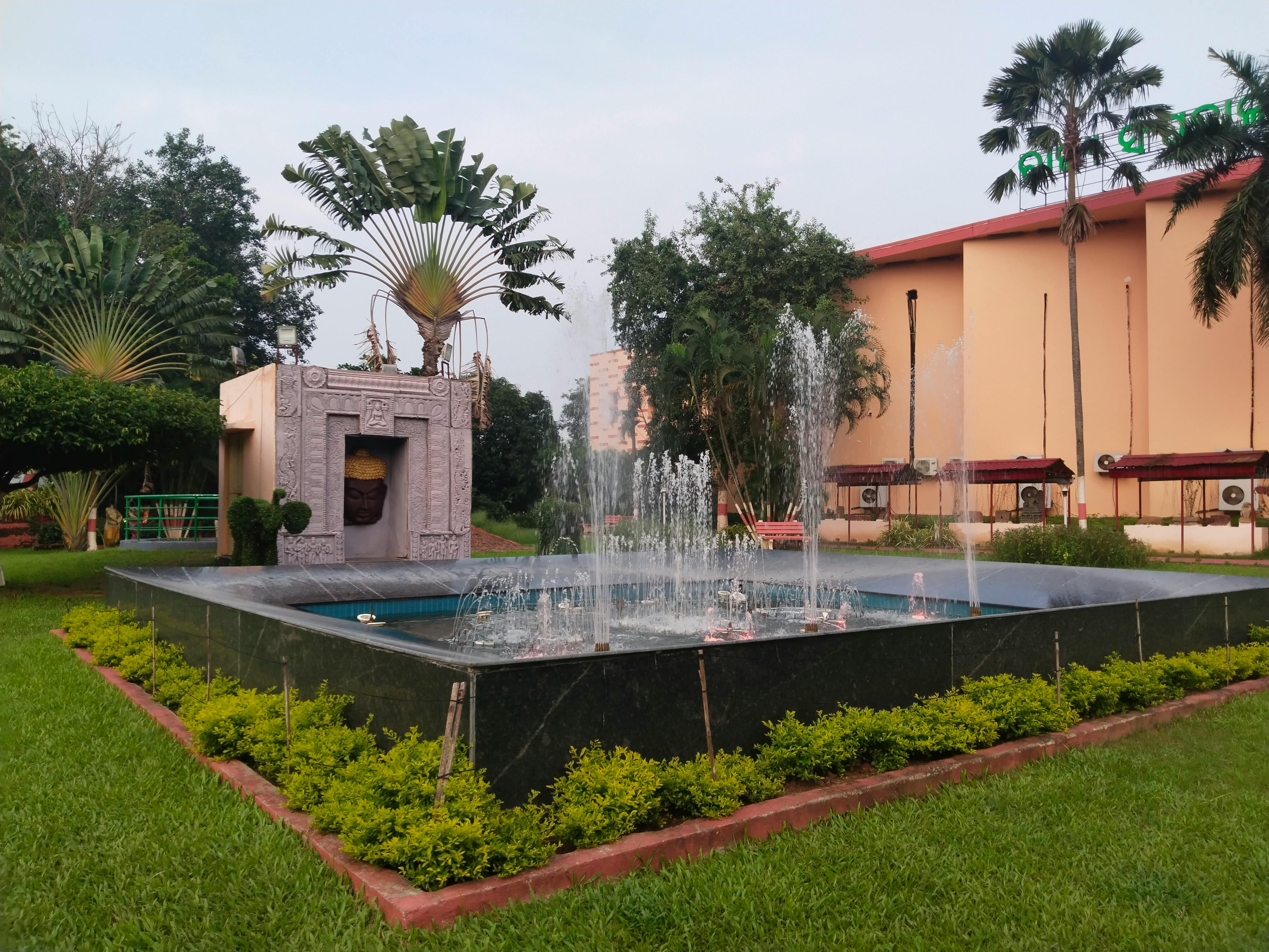 تنسيق حدائق